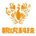 碧虎科技官方店logo
