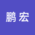 德州鹏宏信息科技有限公司logo