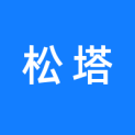 长沙松塔文化科技有限责任公司logo
