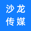 陕西沙龙传媒有限公司logo