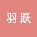 北京羽跃科技有限责任公司logo