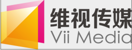 北京维视通城投资管理有限公司logo