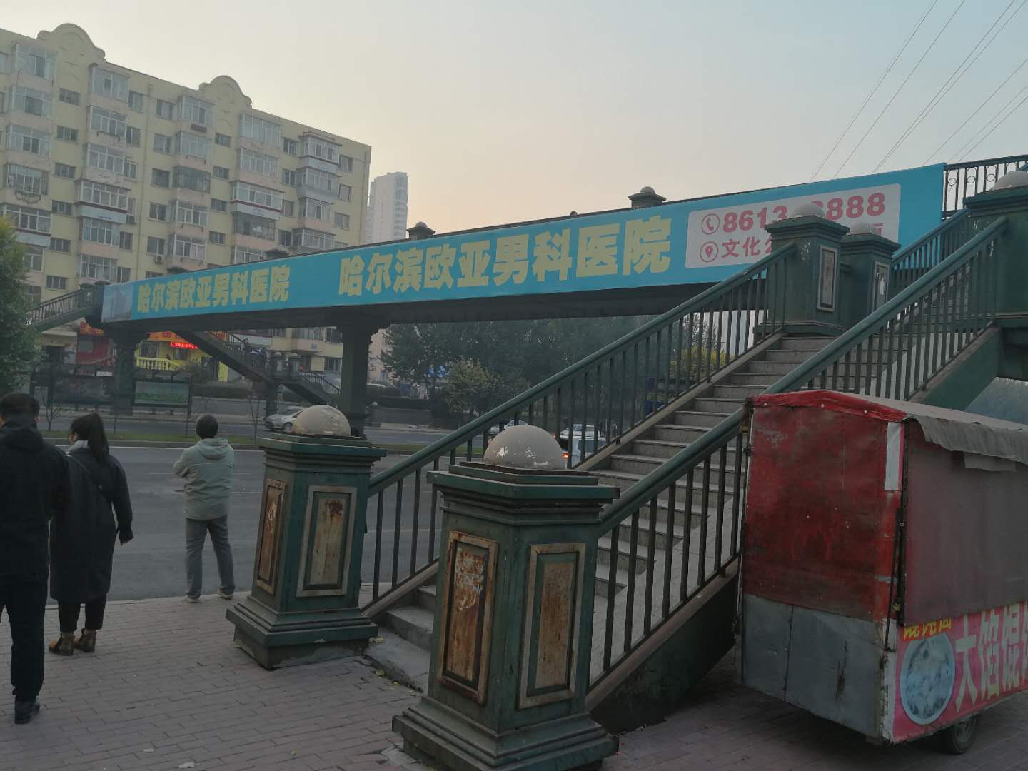 黑龙江哈尔滨南岗区征仪路与延兴路交口人行天桥单面大牌