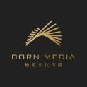 朝阳柏烜文化传媒有限公司logo