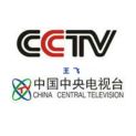 北京中视至高广告有限公司logo