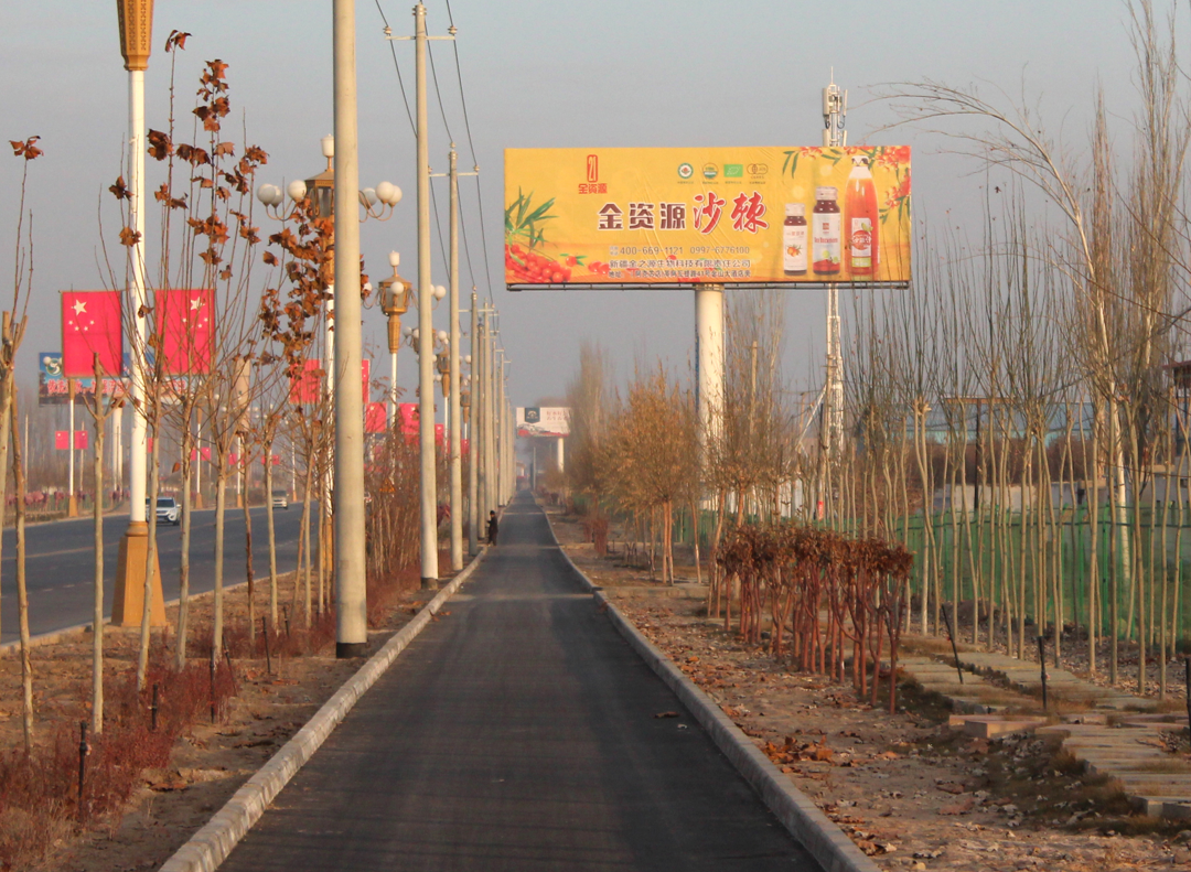 新疆阿克苏地区阿克苏阿克苏机场大道右侧距离温宿县县中心2.7公里（5号）机场单面大牌