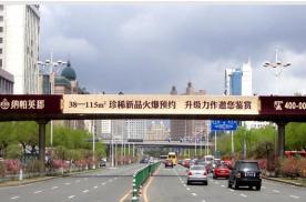 黑龙江哈尔滨南岗区中山路省医院桥体天桥单面大牌