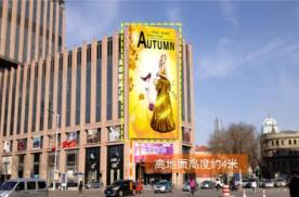 天津和平区小白楼友谊精品广场外墙体商超卖场LED屏