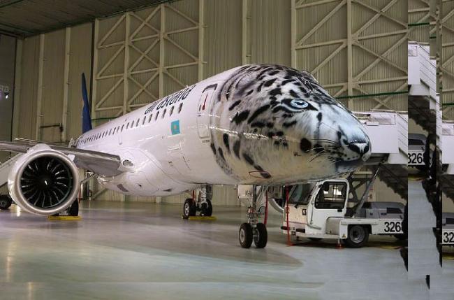 海外飞机车身贴涂装创意制作，一定要留意了？