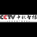 中视智扬国际传媒有限公司logo