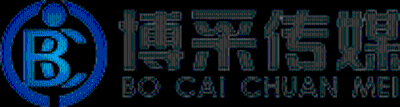 江苏博采文化发展有限公司logo