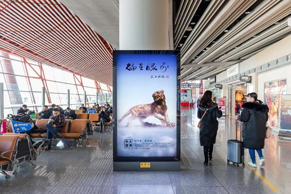 大美中国艺术展机场广告投放案例 一起来看看吧？