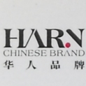 四川省华人品牌策划广告有限责任公司logo