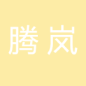 北京腾岚国际文化传媒有限公司logo