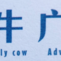 临沂丑牛广告有限公司logo