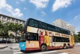 北京市区双层巴士公交车车身