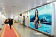 北京朝阳区全朝阳区首都机场T2国内办票大厅入口北侧机场灯箱广告