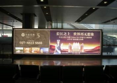 湖北武汉全武汉天河国际机场一层国内到达行李厅WH-D5机场灯箱广告