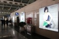 浙江杭州萧山萧山国际机场国内T1出发层HZ-AP-DD41、42机场灯箱广告