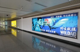 浙江杭州萧山萧山国际机场国内T1到达夹层HZ-AP-DA23机场灯箱广告