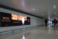 浙江杭州萧山萧山国际机场国内T3到达夹层HZ-APN-DA72机场灯箱广告
