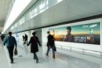 浙江杭州萧山萧山国际机场国内T3到达夹层HZ-APN-DA62机场灯箱广告