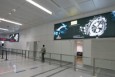 浙江杭州萧山萧山国际机场国际T2行李提取层HZ-AP-IA09机场灯箱广告
