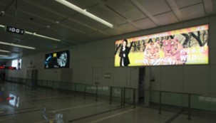浙江杭州萧山萧山国际机场国际T2行李提取层HZ-AP-IA08机场灯箱广告