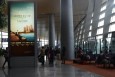 云南昆明全昆明长水机场F02层国内出发西指廊候机区CS-WDL01-3机场灯箱广告