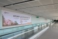 云南昆明全昆明长水机场F01层国际到达东指廊CS-EAL03-12机场灯箱广告