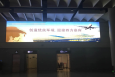 内蒙古全内蒙古鄂尔多斯机场国内行李传送带侧墙DSN-21N-D004机场灯箱广告