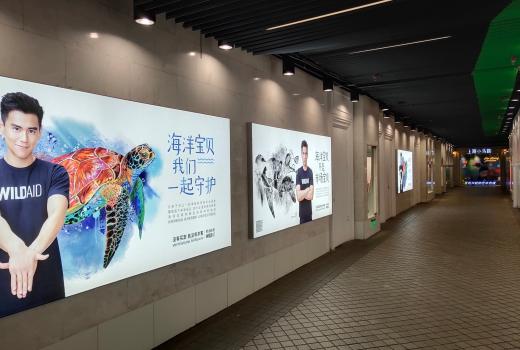 上海地铁广告投放形式及尺寸，细述地铁广告画面设计