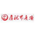 梅州市鹰视界广告有限公司logo