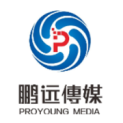 信阳鹏远传媒科技有限公司logo