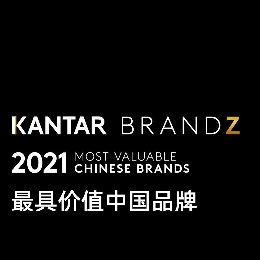 2021中国品牌100强报告