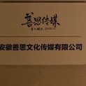 安徽善思文化传媒有限公司logo