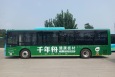 河南焦作市区公交车车身