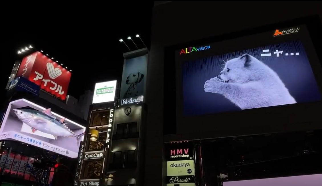 日本新宿车站那个著名的3D猫咪，还会和一旁的广告牌互动了！