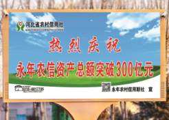 河北邯郸永年县107国道复线与龙源大道交叉口街边设施LCD电子屏
