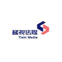安徽梯视传媒科技有限公司logo
