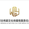 内蒙古伟颖文化传媒有限责任公司logo